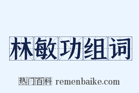 林敏功组词是什么意思的图片